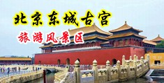 大屌操小逼中国北京-东城古宫旅游风景区